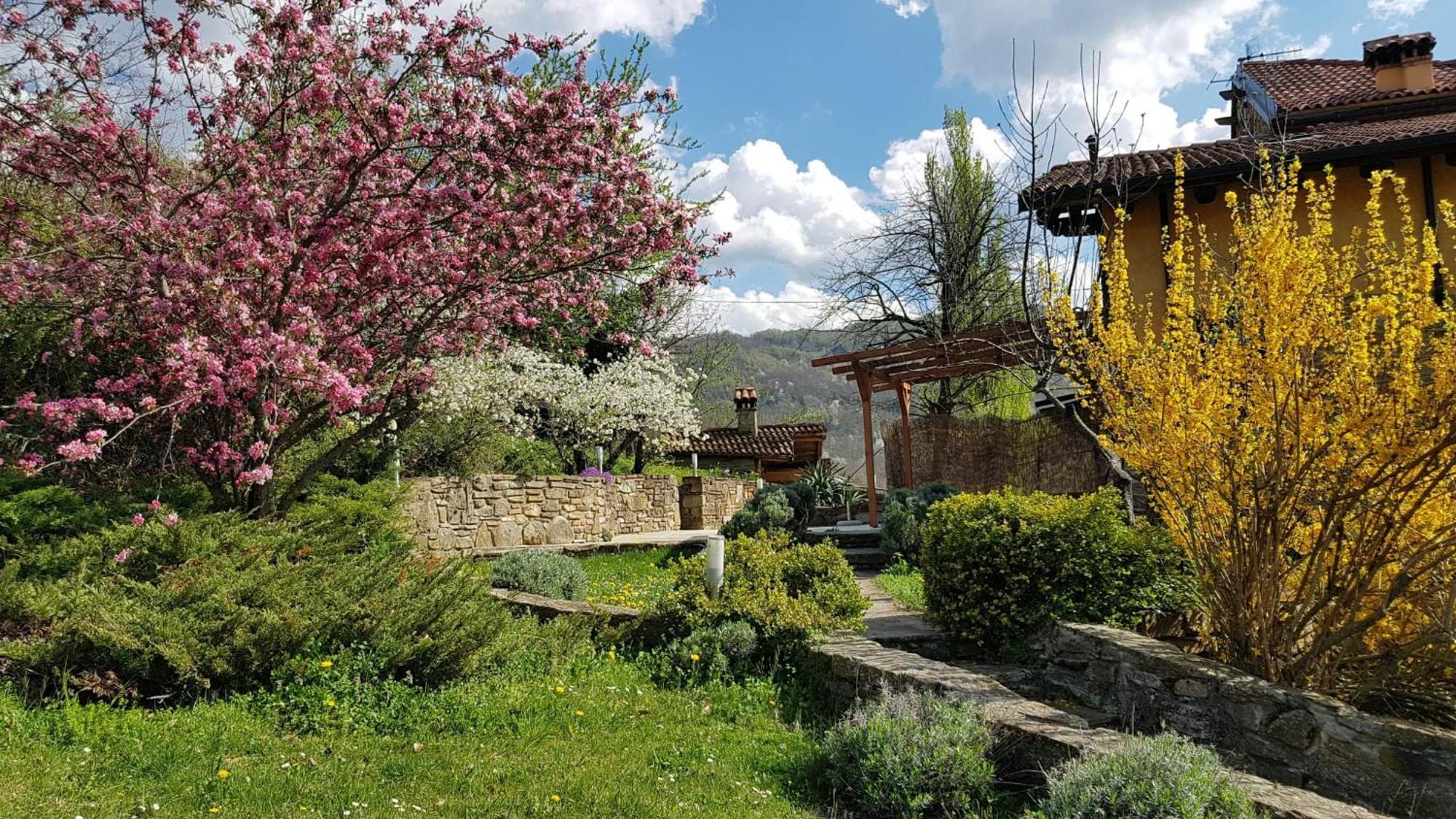 Agriturismo Fattoria Ca Di Sole San Benedetto Val di Sambro Exteriör bild